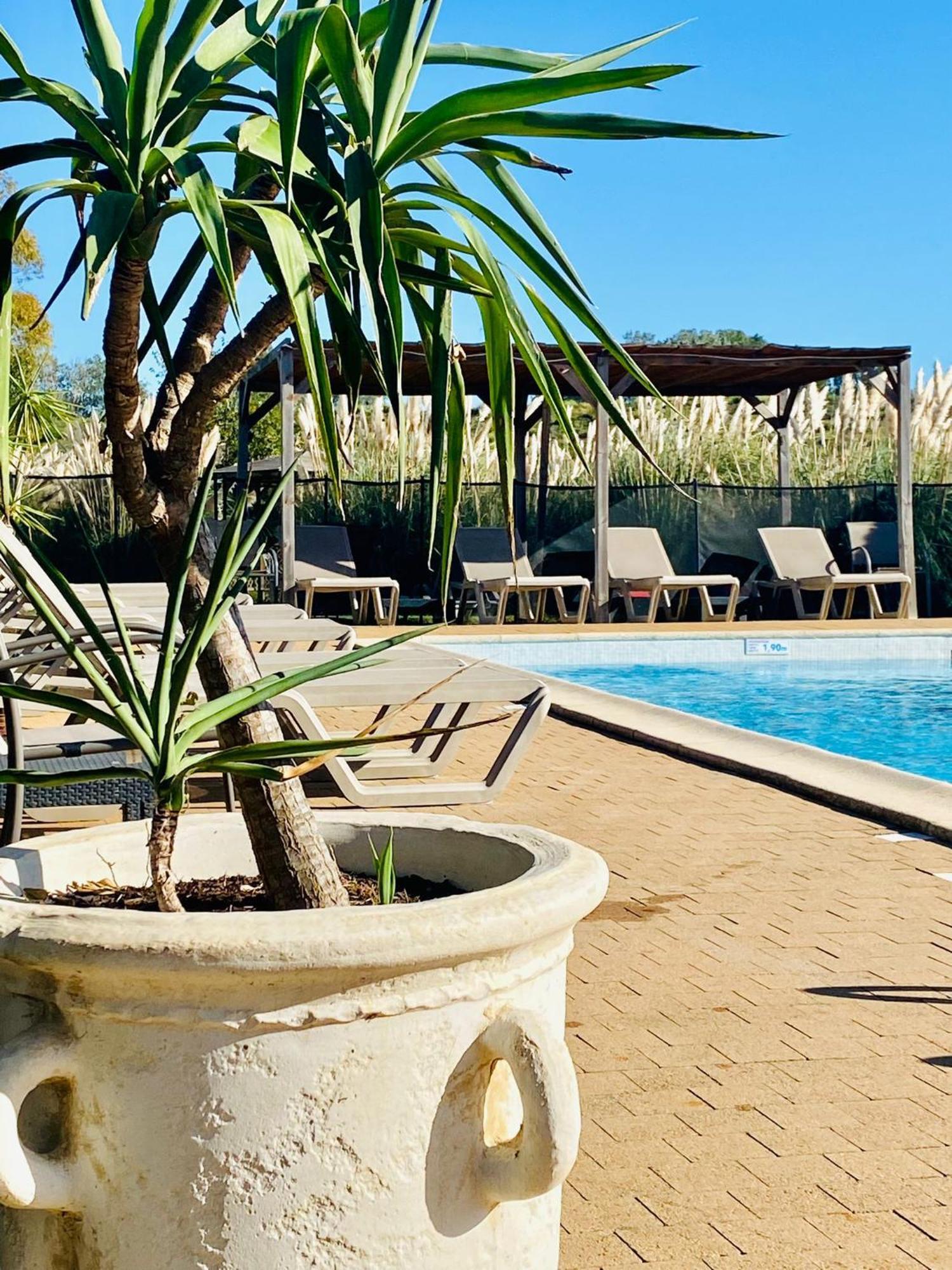 Hotel Le Mas Des Ponts D'ארל מראה חיצוני תמונה